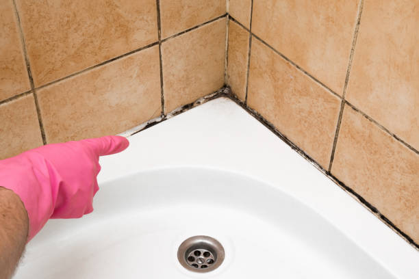 Crawl Space Mold Removal in Pilot Point, TX